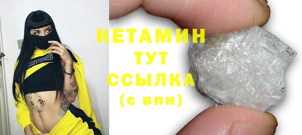 индика Новодвинск