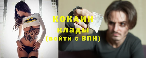 гидра Алексин