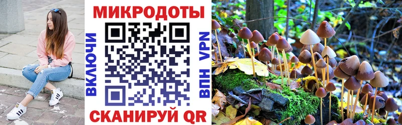 купить  сайты  Оса  блэк спрут зеркало  Псилоцибиновые грибы прущие грибы 